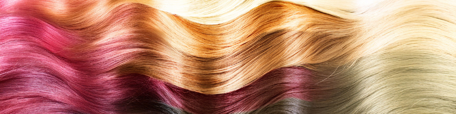 [헤어] Color Blonding & Toning Mastery (중급, 4주)